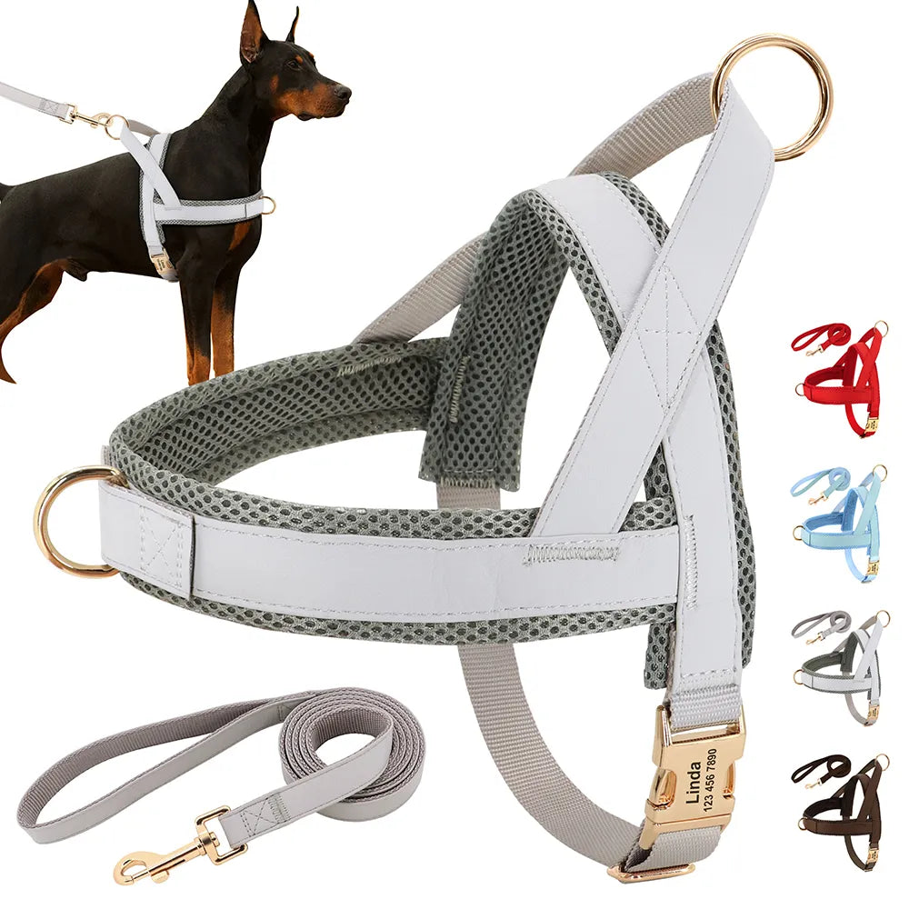 Customizable Bow Tie Pet Harness &amp; Leash Set – Adjustable Nylon Dog Harness with Leash, Secure Fit, and Personalized Style