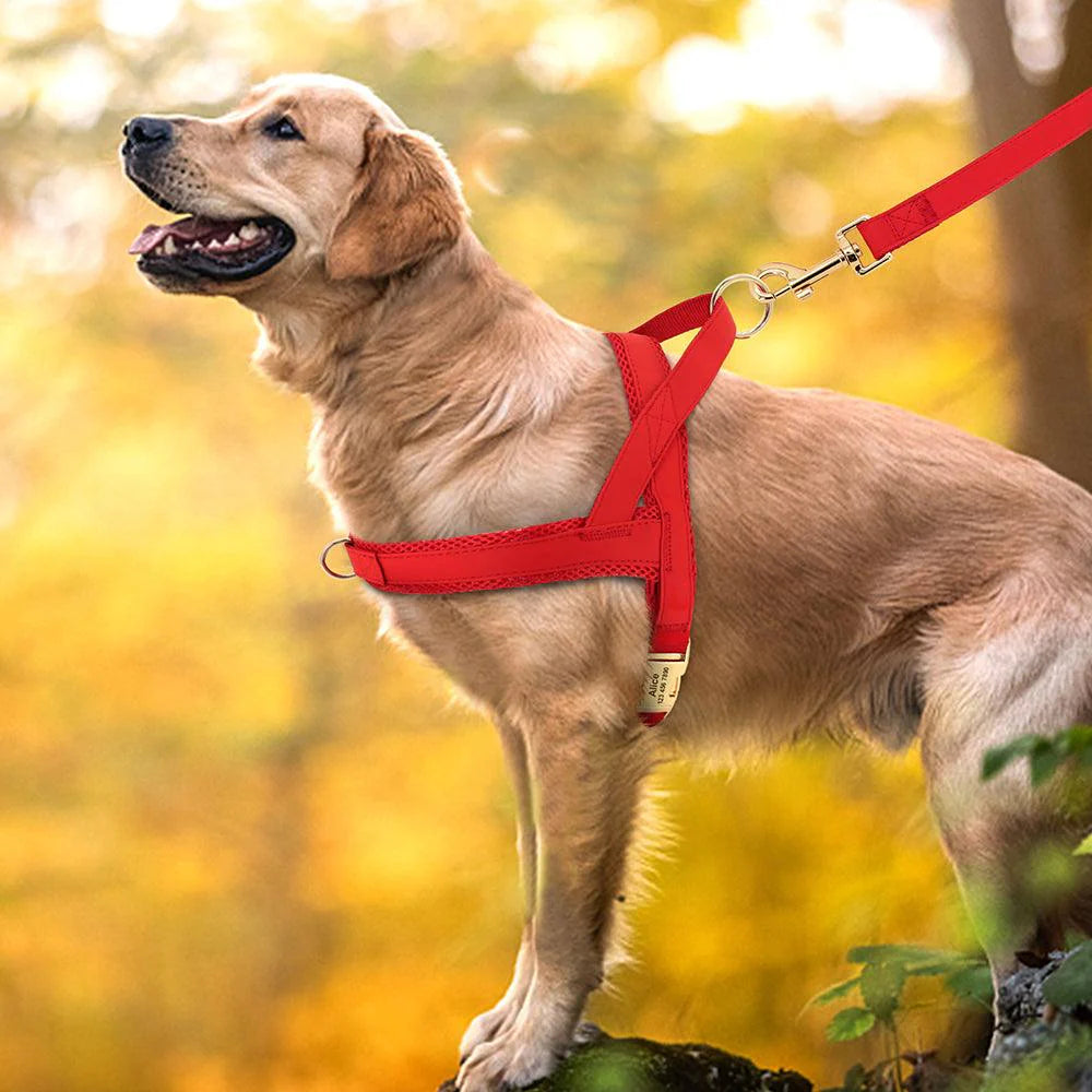 Customizable Pet Harness and Leash Set