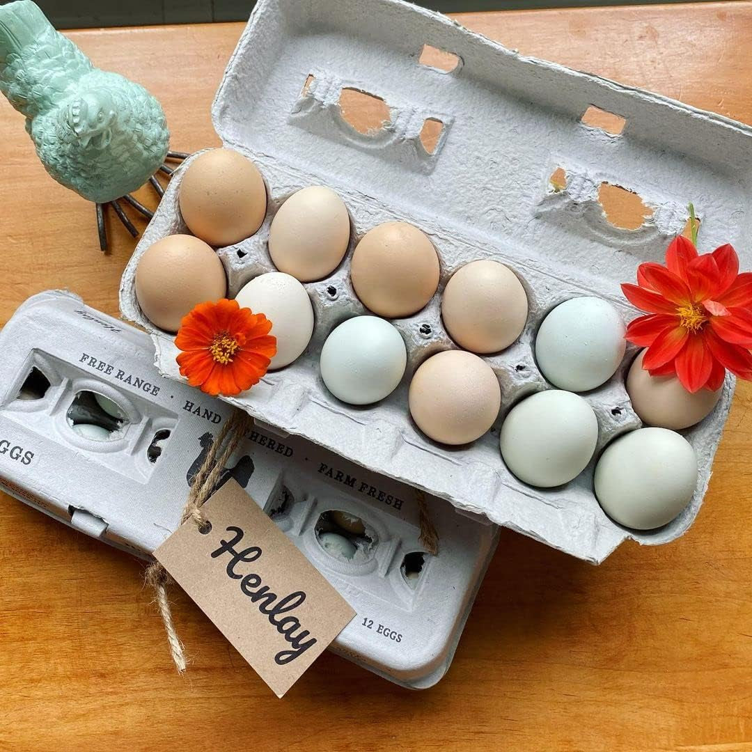 Vintage Printed Egg Cartons -  90 or 250 Carton Value Pack - Securely Holds One Dozen Small to XL Chicken Eggs